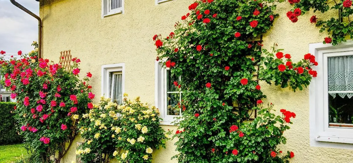 Prestige-Apartment-Chiemsee Прин-ам-Кимзее 0*,  Германия